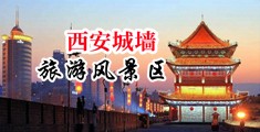 日本中文a草草字幕电影中国陕西-西安城墙旅游风景区